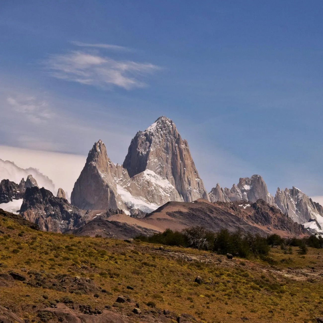 Patagônia — Herbevie