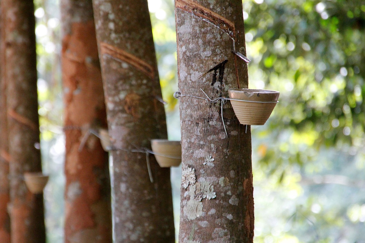 Frasco de Copaíba Amazonia Herbevie