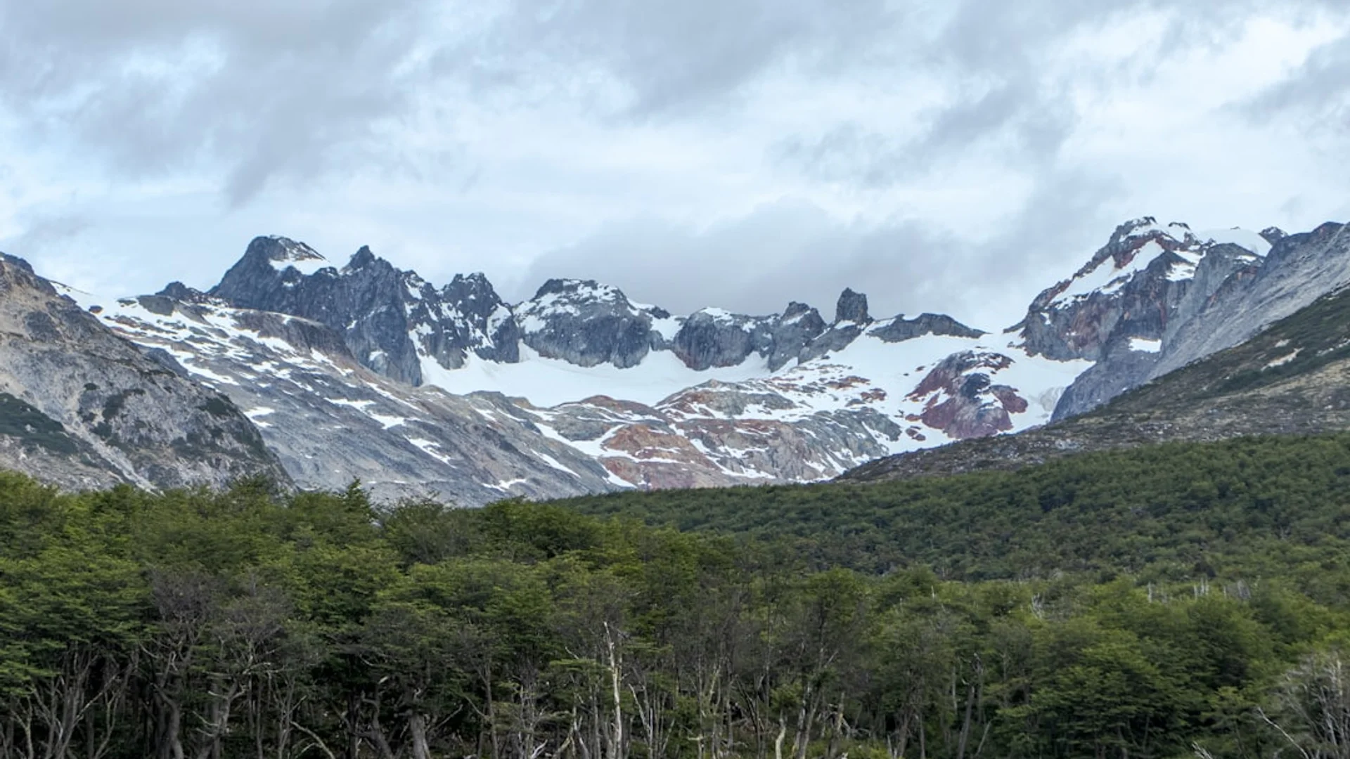 Terroir — o lugar onde a planta cresce vira composição.